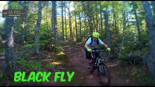 Brookvale Black Fly (Hard) Black Diamond