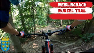 Wurzel  Trail  2020 | Weidlingbach | Exploring...
