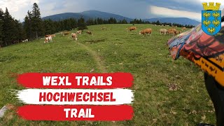 Hochwechsel 'The WU'  Trail ☀️ 2020 | Wexl...