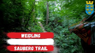 Sauberg  Trail ☀️ 2020 | Weidling |...