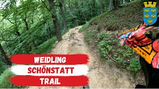 Schönstatt  Trail ☀️ 2020 | Weidling |...