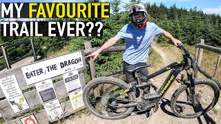 THE BEST TRAIL AT BIKEPARK WALES// ENTER THE...
