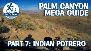 Palm Canyon Epic Mega Guide | Part 7: Indian...