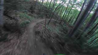 Freeride 2 trail Brasov