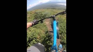 Mountain Bike Sauen