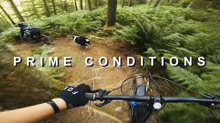 Guess Who's Back?  | Mountain Biking in Cumbria