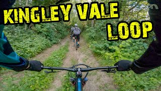 Kingley Vale MTB - Is It Any Good?