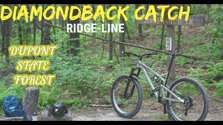 Diamondback Catch on Ridgeline Dupont State forest