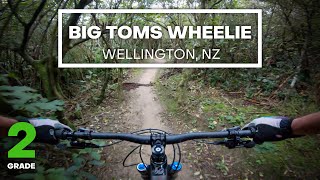 FAST FAMILY FUN - Big Toms Wheelie Mountain...