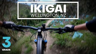 FAST FLOW - Ikigai (Spuds) Mountain Bike Trail...