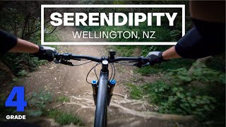 TECHY FLOW - Serendipity Mountain Bike Trail...