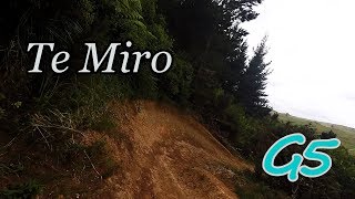 Te Miro: Soiled Chamois