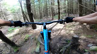 Tollymore Forest - Hawk Wind