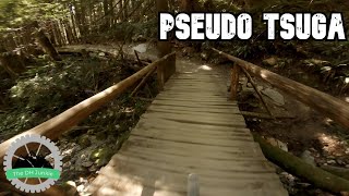 Pseudo Tsuga // Squamish, BC