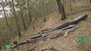 CCTV (Eastbound) - Nerang National Park -...