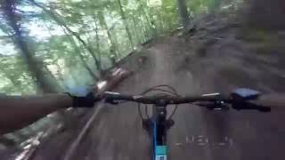 Brown County State Park, Nashville, IN. ...