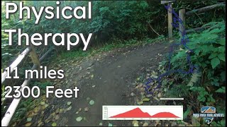 Physical Therapy