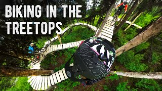 this is a BIKE TRAIL?? // Wild Times At...