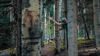 Barely hiking the Inner Basin Trail //...