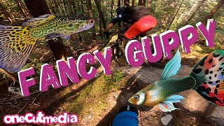 More Gnar in Squamish - Fancy Guppy