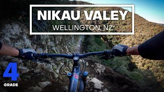 BACKCOUNTRY BLISS - Nikau Valley Mountain Bike...