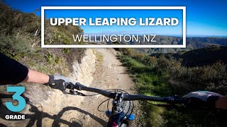 FAST FLOW - Upper Leaping Lizard Mountain Bike...