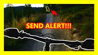 Working On My Confidence (WE SENT IT!!!) | 4K...