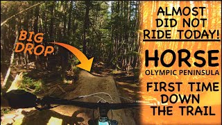 Gimbal POV || Horse || MTB || Port Angeles, WA
