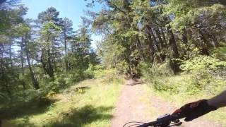 Joe's Berms and Swipe Right - Partridge Hills