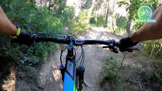 Dead pigeon trail