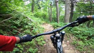 Foxy Roxy  -  Killington Bike Park