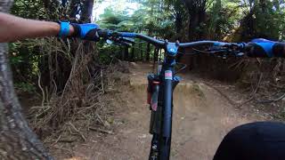 Hard Case Busing Forest