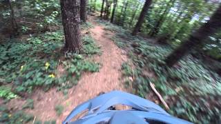 Hilltop into River run, Busing Forest