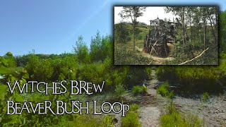 VVITCHES BREW & BEAVER BUSH LOOP, 2020....
