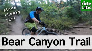 Bear Canyon Trail | American Fork Canyon