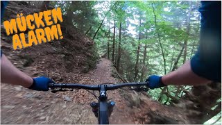 Enduro bei 32 Grad | Mückeninvasion | tapfere...
