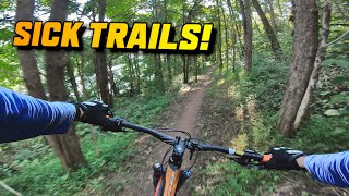 Nockamixon State Park PA - Perfect Beginner Trails