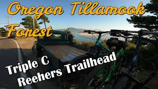 Mountain Bike Trail Tillamook Oregon Forest  ,...