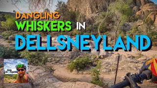 Dangling Whiskers in Dellsneyland
