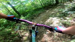 Shredder Trail...a 'flow' trail that does not flow