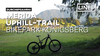 Merida Uphill-Trail - Bikepark Königsberg | LINES