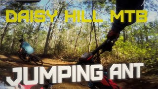 Daisy Hill MTB // Jumping Ant // Track 14