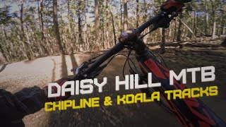 Daisy Hill MTB  //  Chipline (0:03) and Koala...