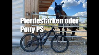 E-Bike Test Specialized Levo SL  Comp Carbon//...