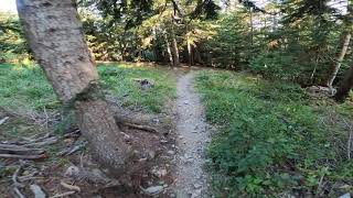 Project DH