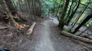 Osito DH