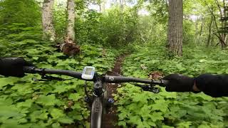 HOLY TRAIL