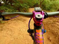 Bonus Laps : We Went Back For More