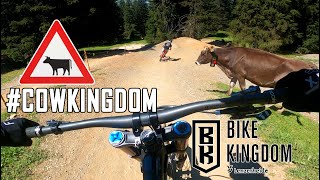 Der Kuhminator: Flosse in Gefahr - Bikekingdom...