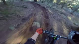 Feiteiras trail - Madeira
